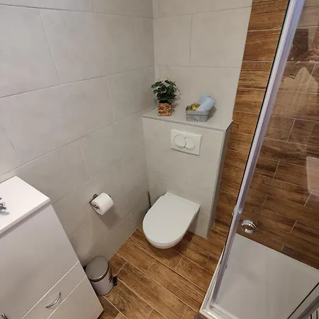 Sunflower * Zrenjanin