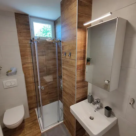 Sunflower * Zrenjanin