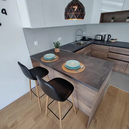 Sunflower * Zrenjanin