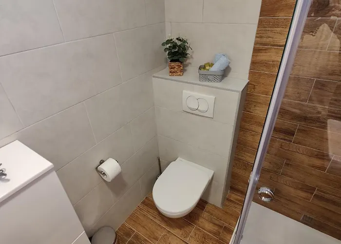 Sunflower * Ζρένιανιν