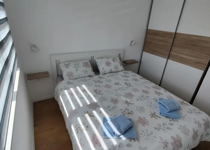 Sunflower Ζρένιανιν